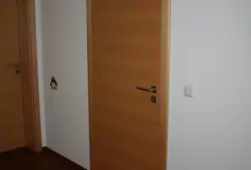 Schreinerei ILIN - flächenbündige Zimmertür in Ahorn